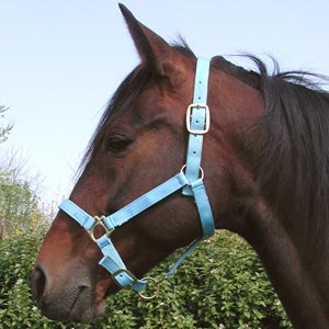 300009 - CAPEZZA IN NYLON RIVESTITA IN CUOIO TG PONY BLU