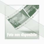 166028 - BAULE DA CONCORSO IN FERRO ZINCATO cm 120x60x59.5 con 2 ruote e maniglia